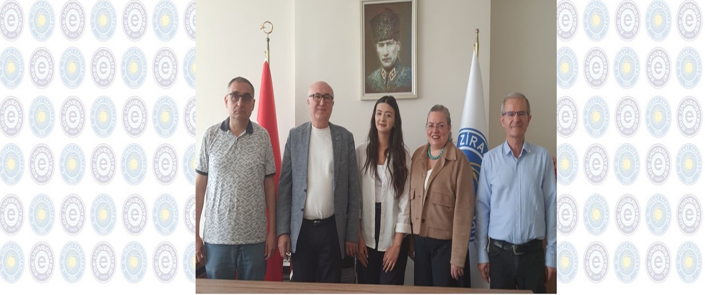 Erasmus+ KA-171 Staj Hareketliliği
